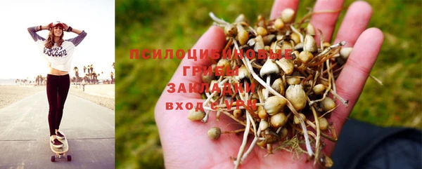 молекула духа Алексин